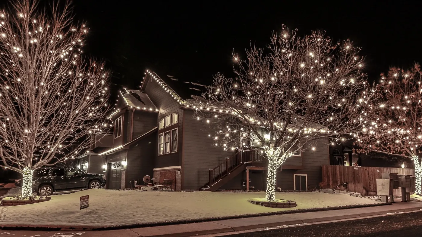 Bare trees wrapped branch by branch in white lights beside a home in the snow